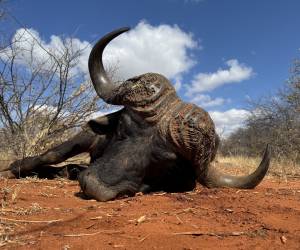 Afrique du Sud