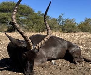 Afrique du Sud